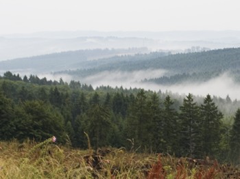 Je nach Witterung und Jahreszeit bietet das Sauerland dem...