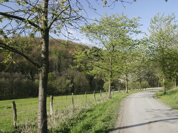 Der Naturpark Arnsberger Wald bietet ein sehr gut ausgeba...